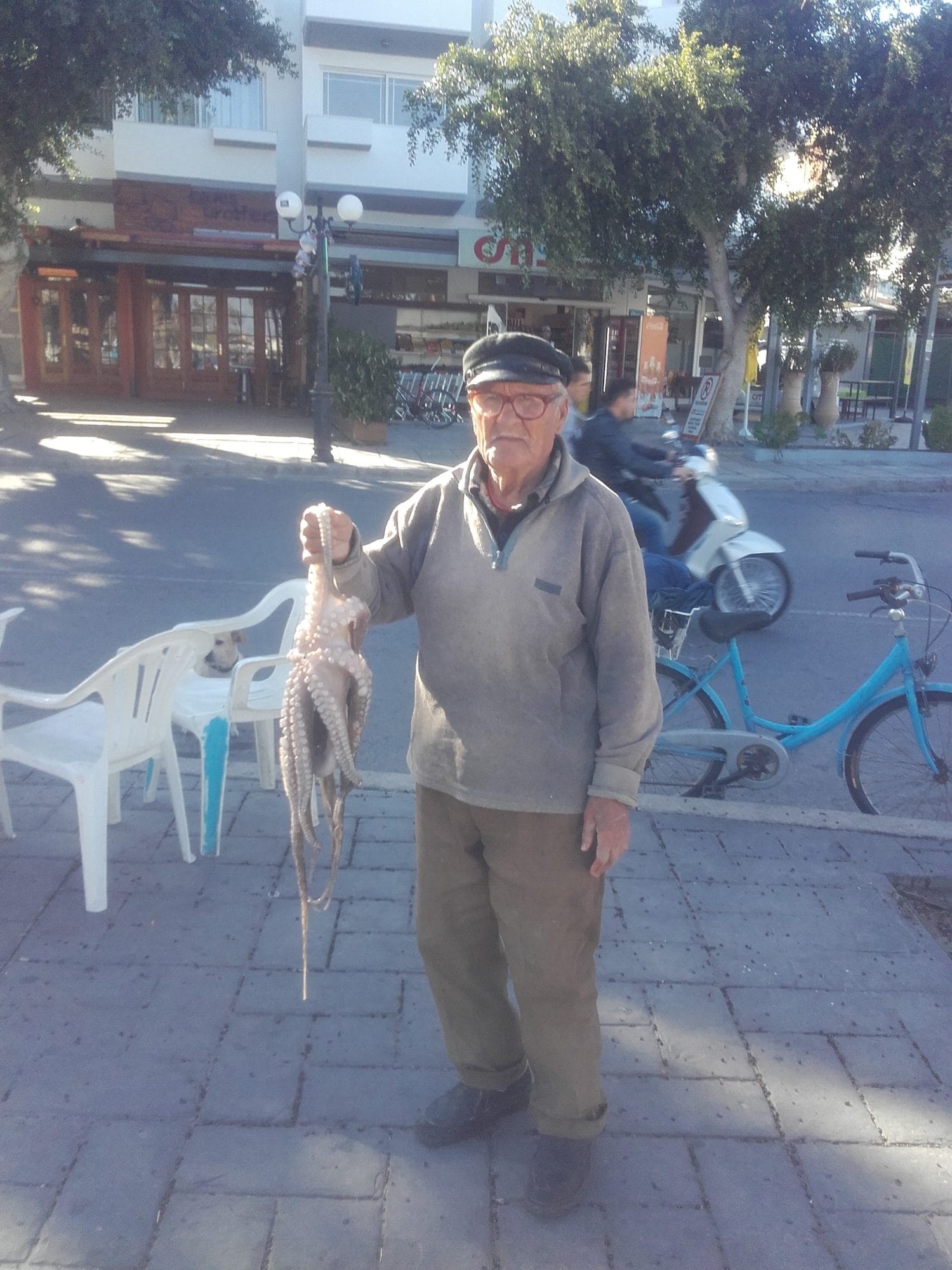November 2016. Captain Tasos on the harbour front with an octopus.