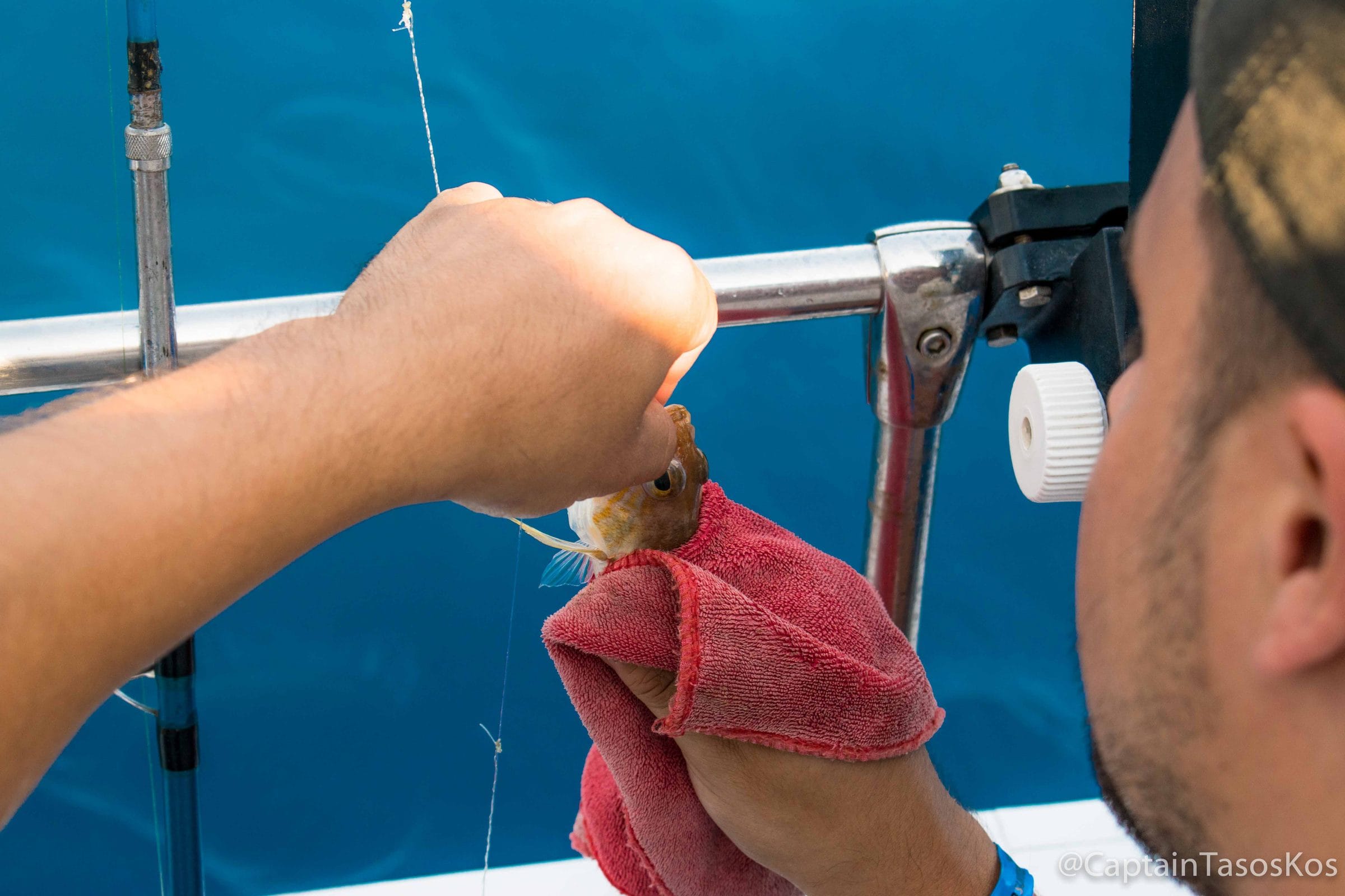 Unhooking a small fish over the rail on a Captain Tasos fishing trip